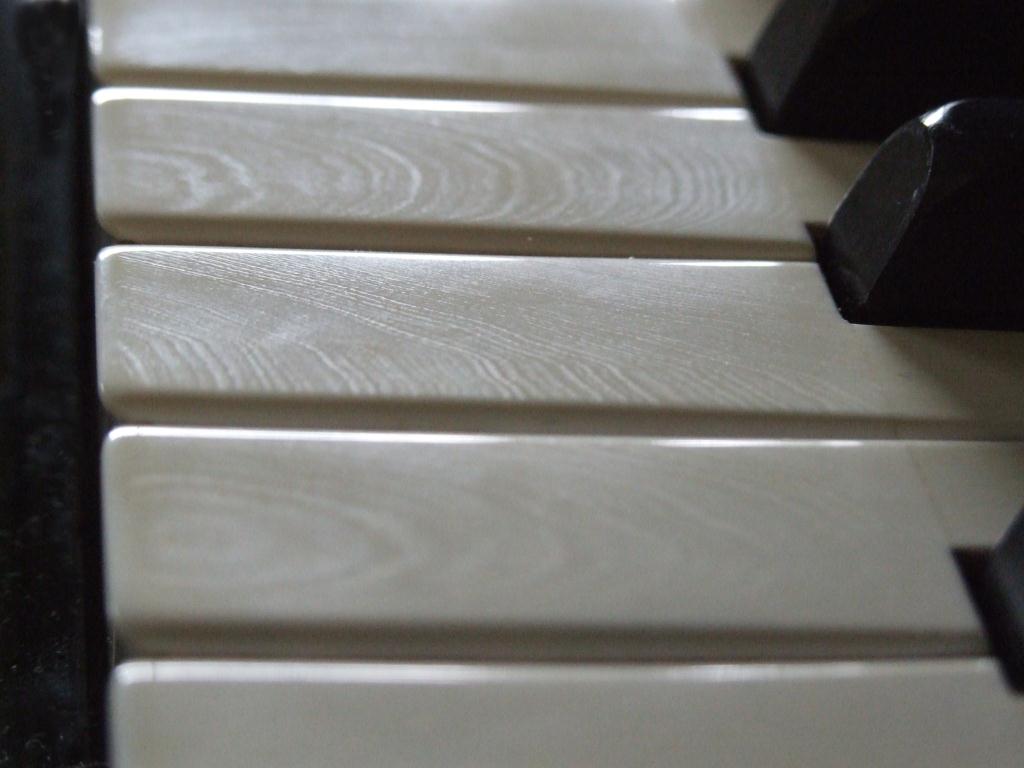 Ivory keys on a Bluthner