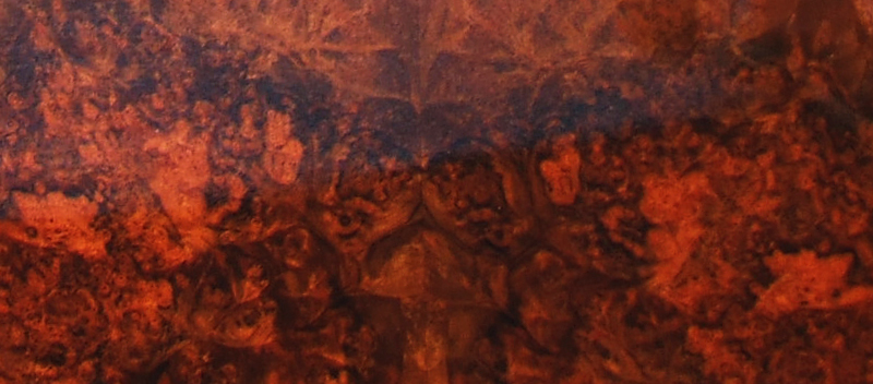Walnut Burr Sample