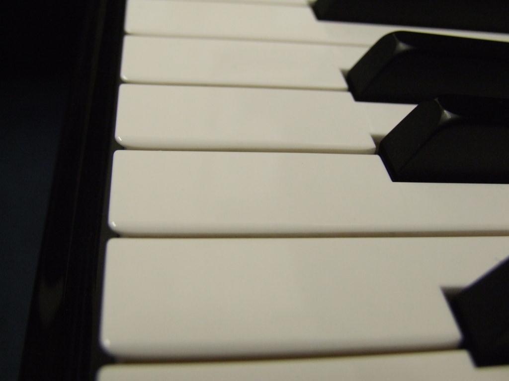 Plastic keys on a Feurich