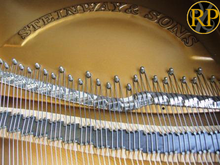Steinway B Hitch Pins