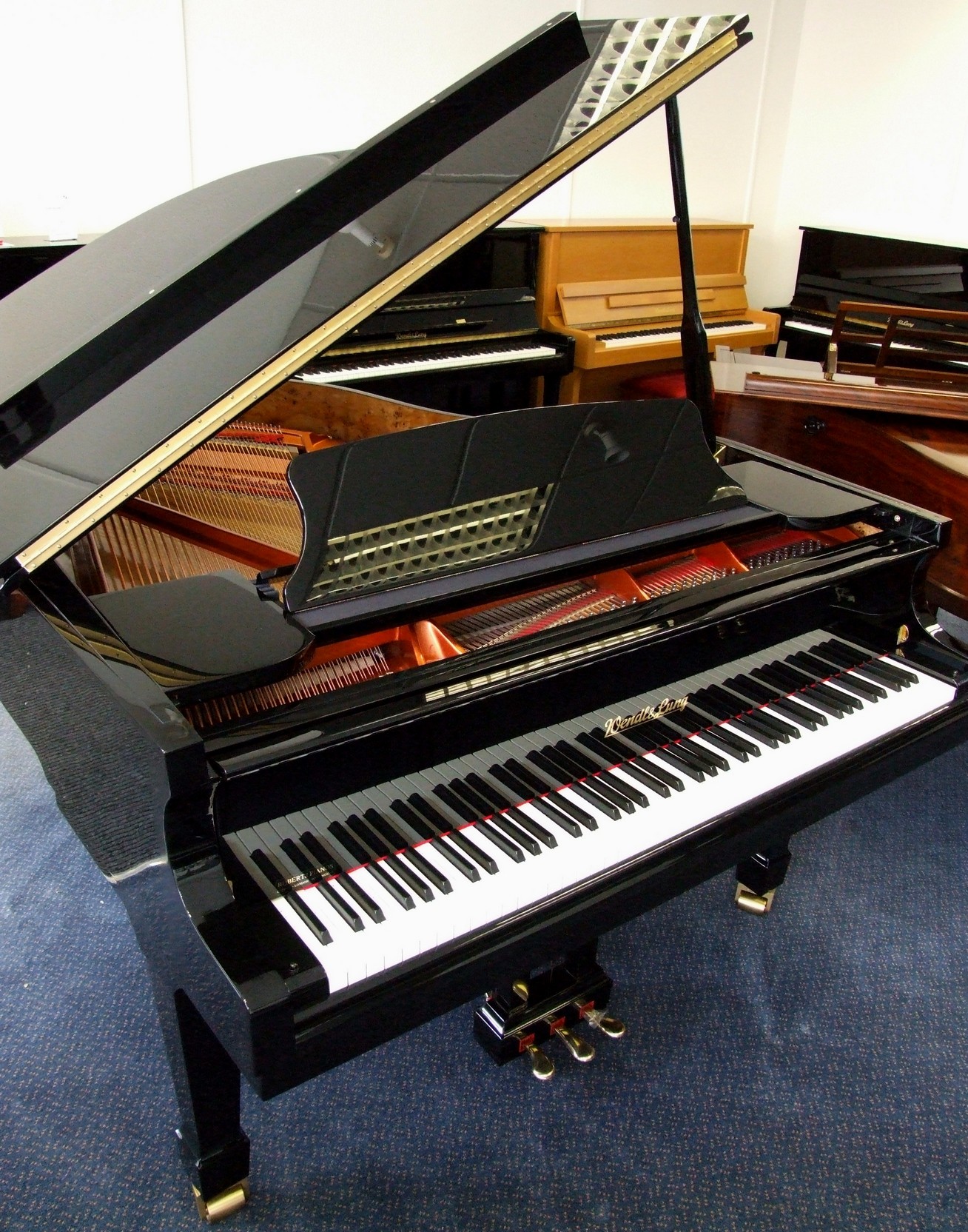 Wendl__Lung_pianos-Steinway_pianos_for_sale-Yamaha_pianos_for_sale-Image00005