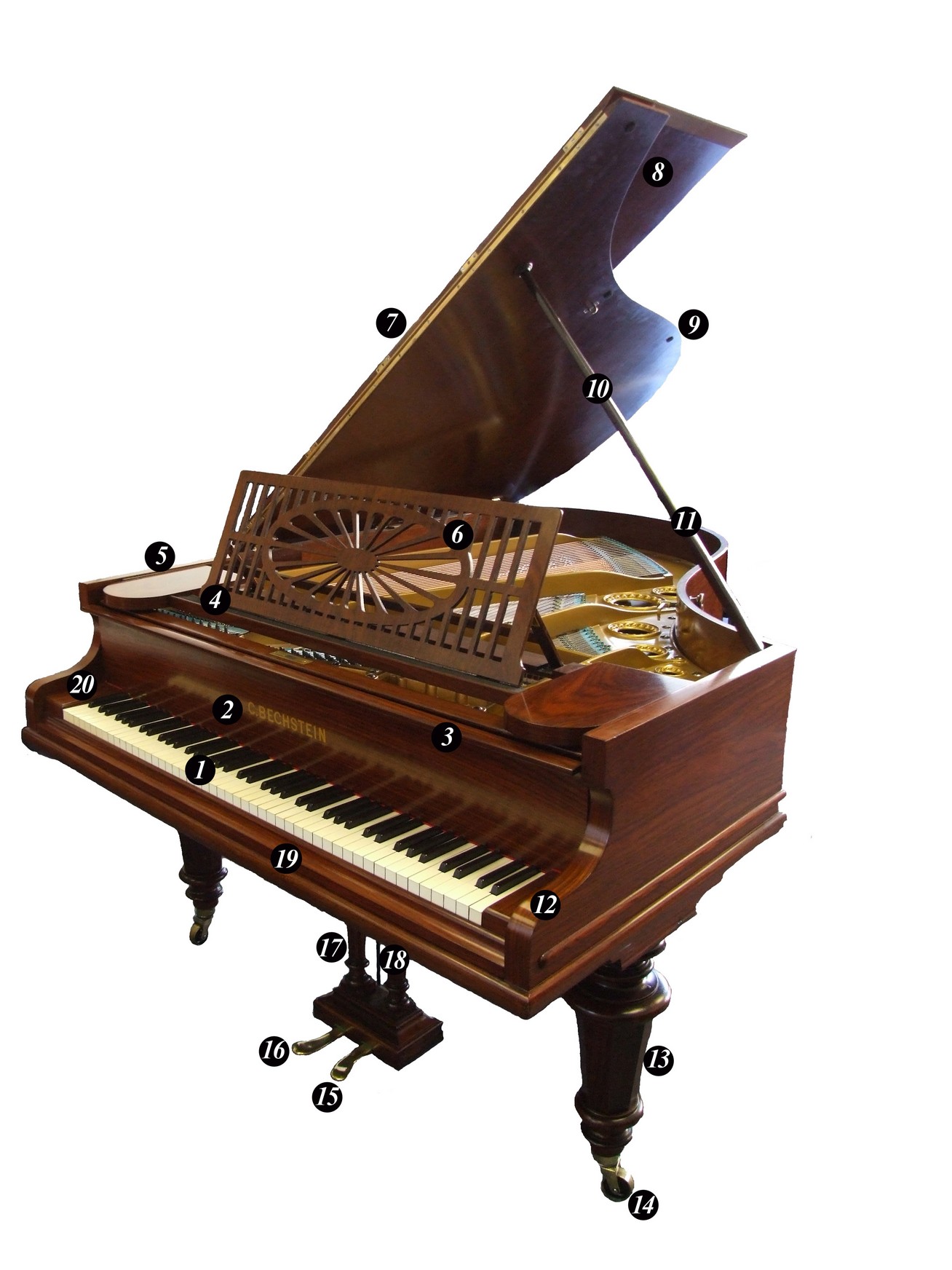 Grand piano encyclopedia link