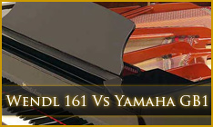 Wendl & lung comparison wendl and lung 161 vs gb1