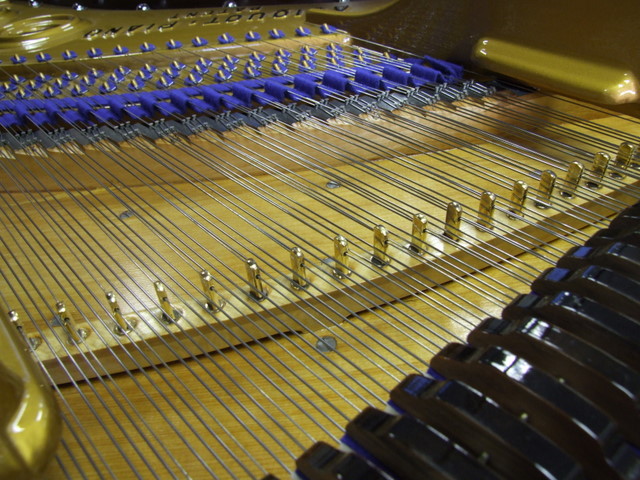 bluthner grand pianos 10