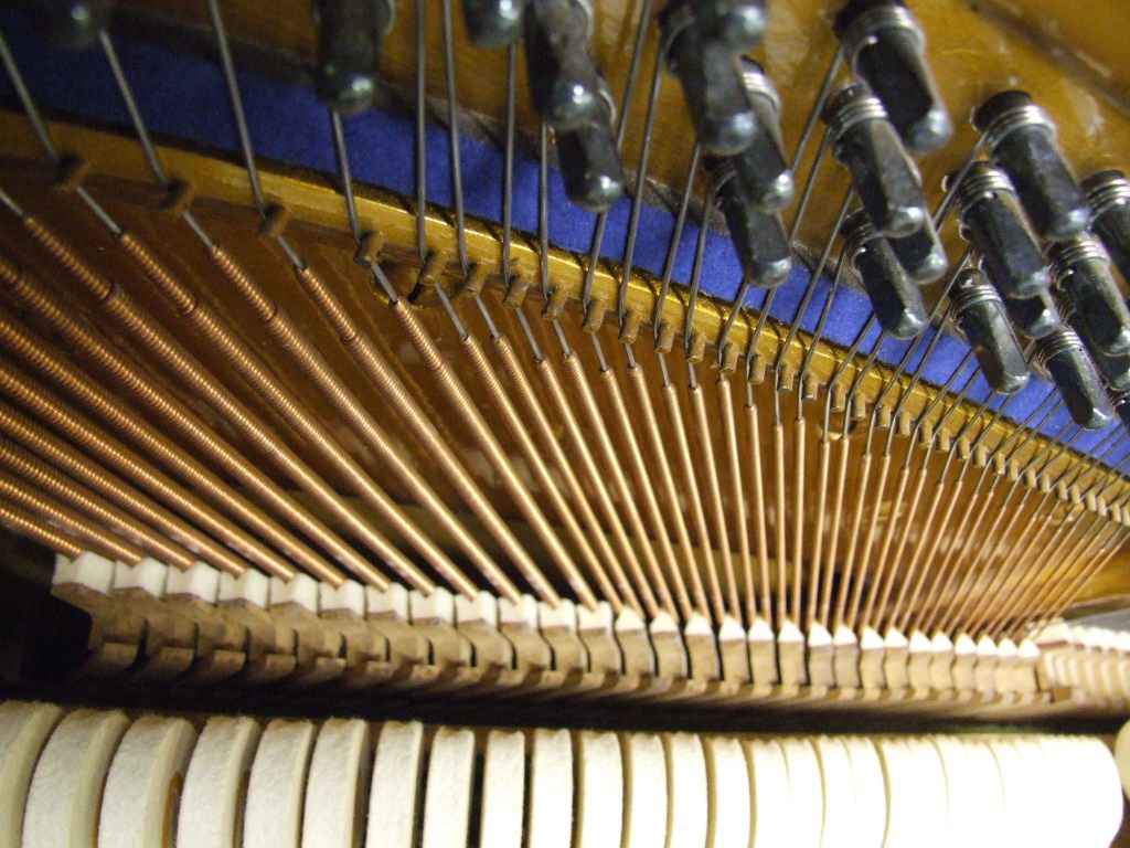 Richard Lipp  - dealers in Steinway grand pianos baby grand pianos, Fazioli, Bosendorfer, Bechstein, Bluthner, Yamaha
