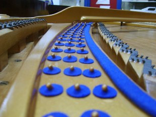 Bluthner_7_restoration stringing. Steinway pianos and Yamaha dealer selling yamaha grand pianos