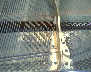 Bluthner 7 Grand-stringing. Steinway grand pianos, yamaha grand pianos, steinway and yamaha piano dealers