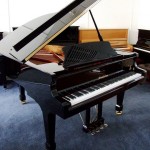 Wendl Lung pianos 150x150 Wendl and Lung Pianos