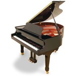 161 wendl and lung 150x150 Wendl and Lung Pianos