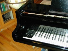 bosendorfer 97 keys bosendorfer keys Bosendorfer Pianos