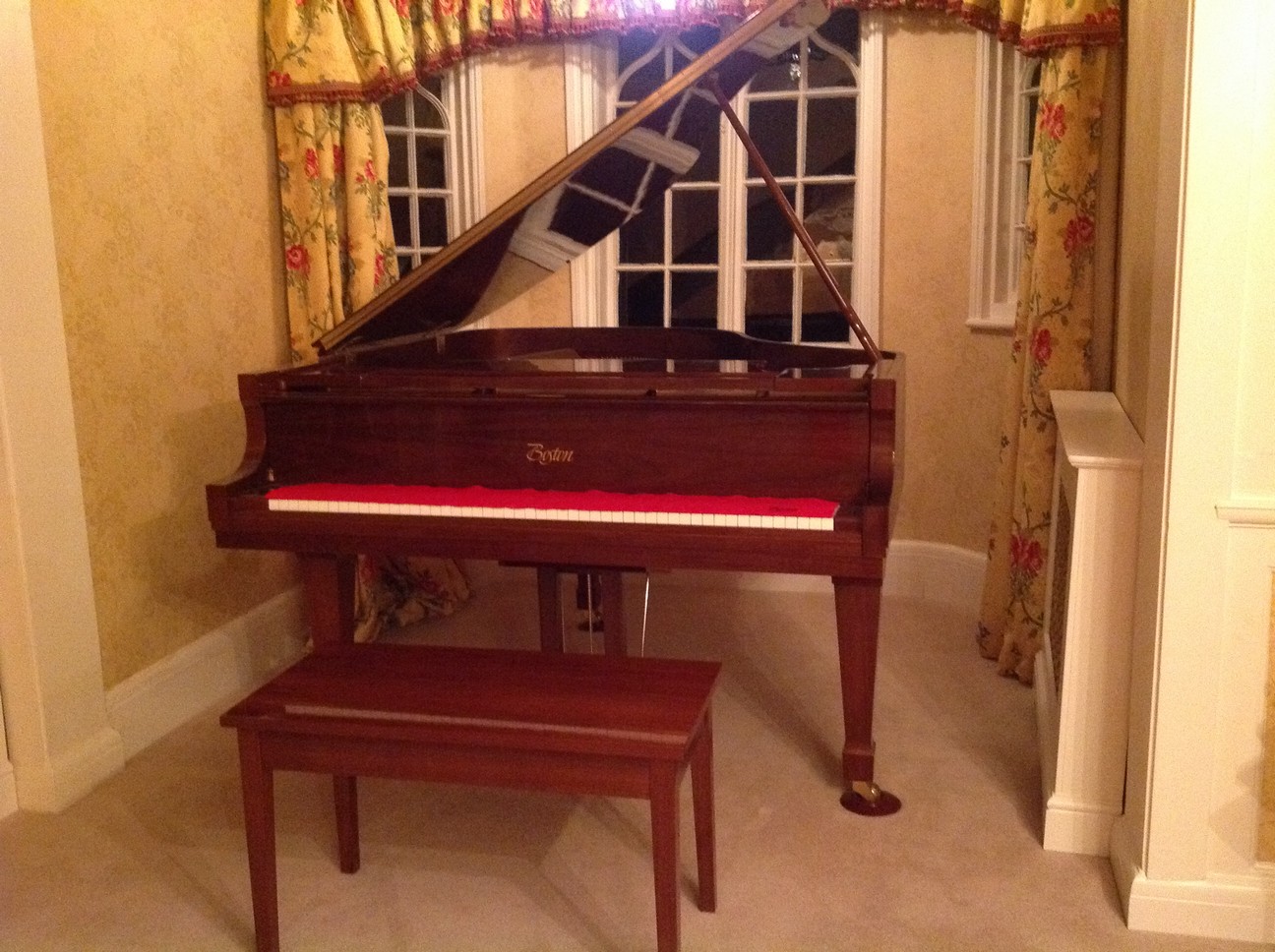 Boston Grand Piano Serial Number