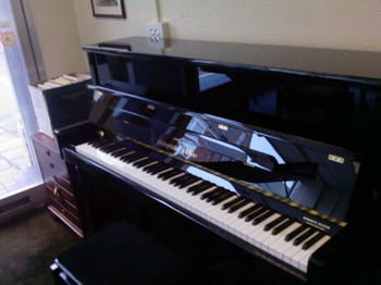 Steingraeber & SÃ¶hne Pianos-Pianos for Sale