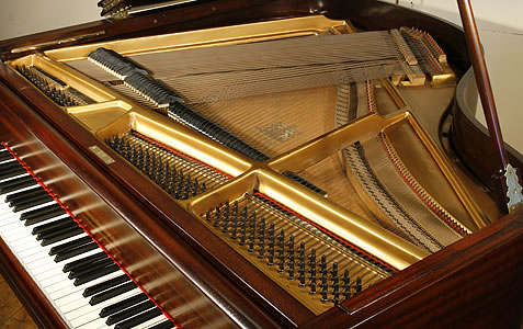 Marshall and Rose Pianos-Pianos for Sale