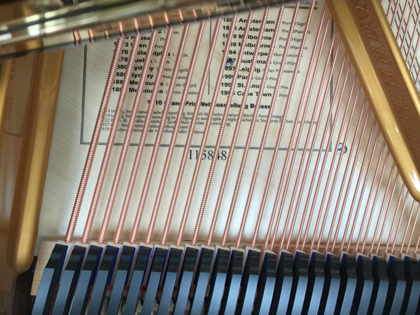 bluthner serial numbers location on a grand piano