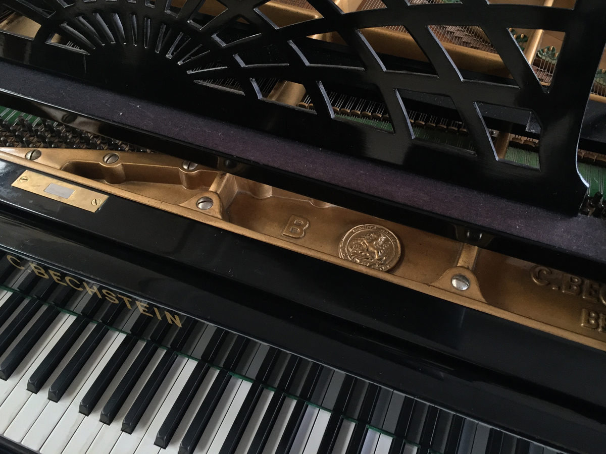 bechstein-b_v1