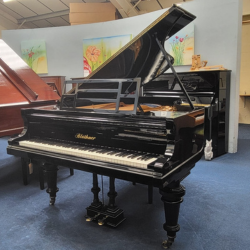 Grand rental Bluthner grand piano